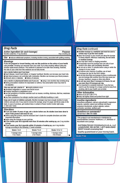 957-of-nicotine lozenge-2.jpg 957-of-nicotine lozenge-2.jpg - 957 of nicotine lozenge 2